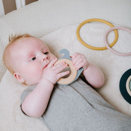 Baby's Only Puzzel Circkels Earth - Baby's Only - Babywinkel - 8720512364828