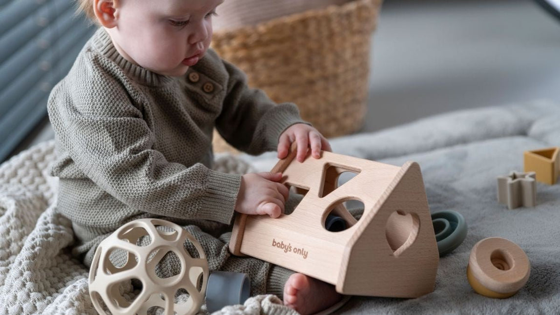 Baby's Only Vormenstoof Huis Earth - Baby's Only - Babywinkel - 8720791353599