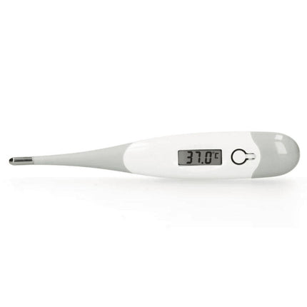 BC - 19GS - Digital thermometer - Gray - Babywinkel - 8712412582303
