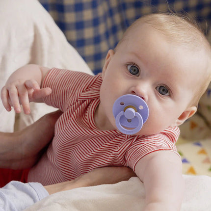 BIBS Spenen Maat 2 Colour Anatomical Hush/Grape 2st koop je bij Babywinkel