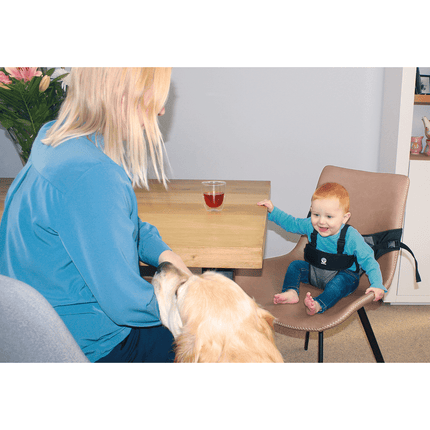 Dooky Stoelverkleiner Band Zwart - Dooky - Babywinkel - 5038278003879