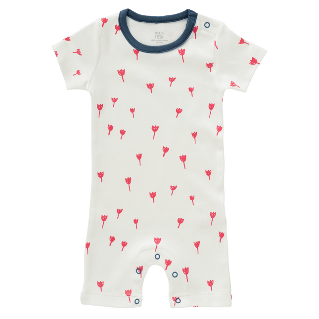 Fresk Boxpakje Tulip Red koop je bij Babywinkel