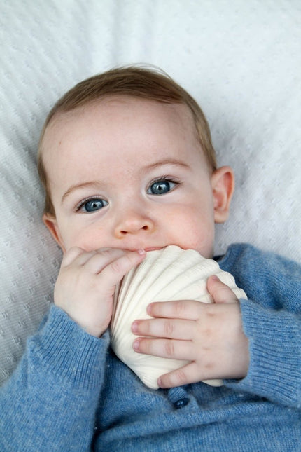 Lanco Bijtring Schelp Plat koop je bij Babywinkel