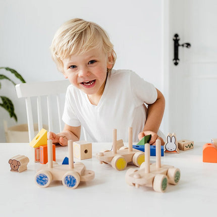 Nijntje Blokkentrein - Babywinkel - 8714274170650