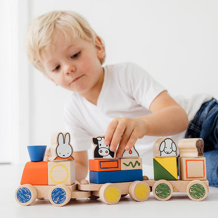 Nijntje Blokkentrein - Babywinkel - 8714274170650