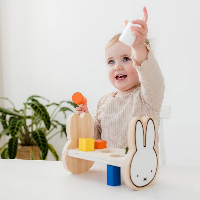Nijntje Hamerbankje - Babywinkel - 8714274170643