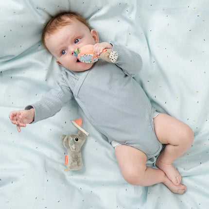 Sensory Rammelaar Spiegel set Celebration Colour mix koop je bij Babywinkel