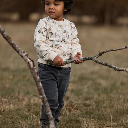 Little Dutch Baby Broekje Grey Denim