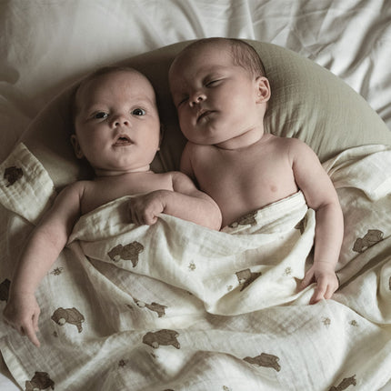 Coussin d'allaitement That's Mine Moon Desert Sage