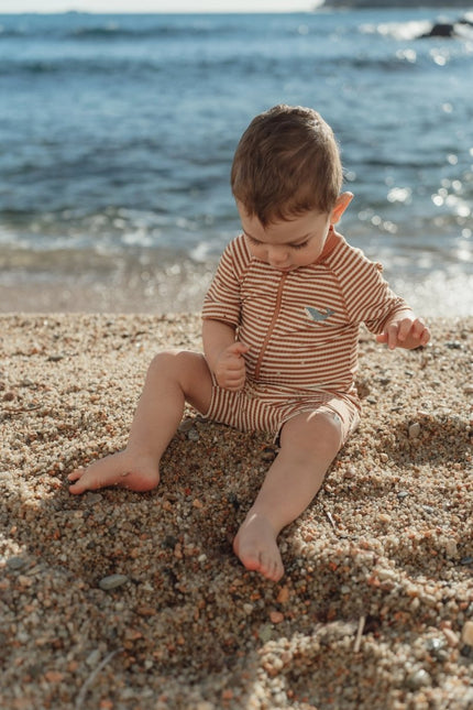 Zwempak korte mouwen Ocean Brown Stripes koop je bij Babywinkel